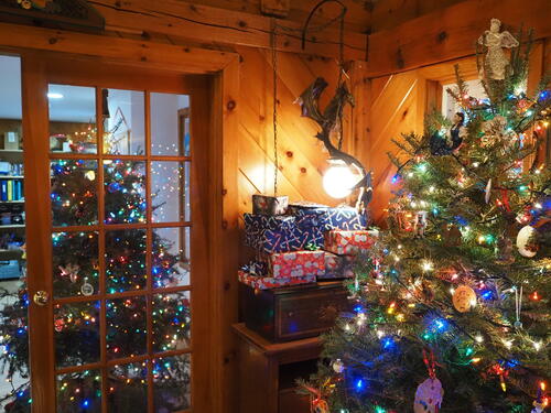 Christmas trees and presents #2