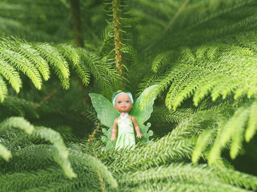 Fairies amongst the butterflies