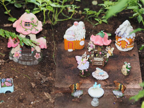Fairy garden