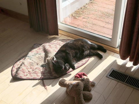 Diana catching some rays