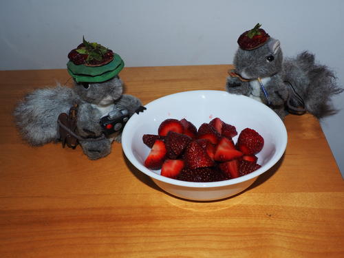 Strawberry Squirrels Forever