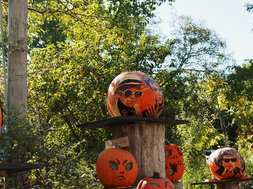 Elton John and Bob Dylan pumpkins