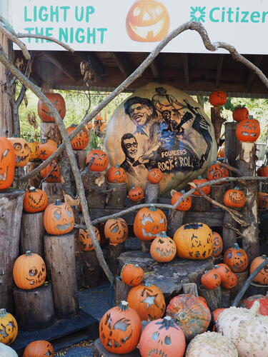 Rock and Roll pumpkins