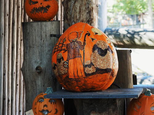 Little Bo Peep pumpkin