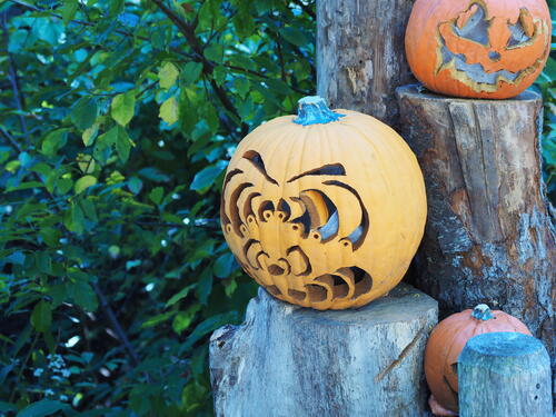 Pumpkin with the eyes