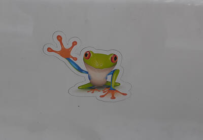 Frog decal on Liz's old van