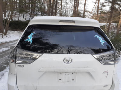 Dolphin decals on Liz's old van