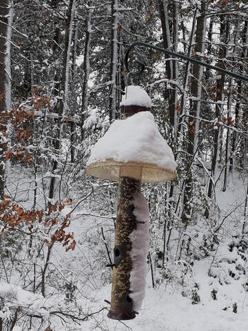 Snow covered bird feeder
