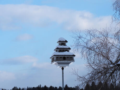 Birdhouse with snow