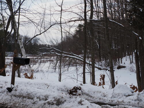 Littleton, MA winter pond