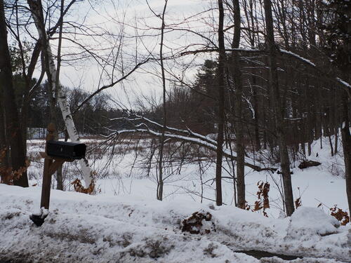 Littleton, MA winter pond #2