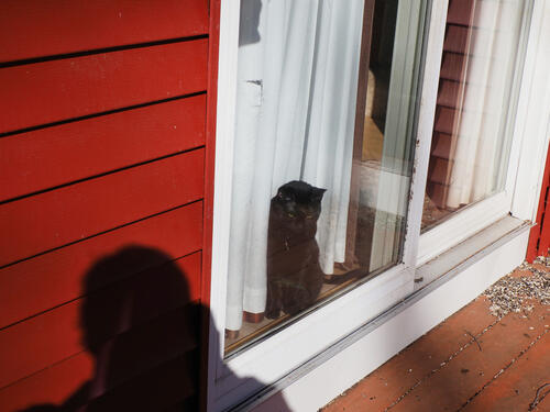 I'm shy, no pictures