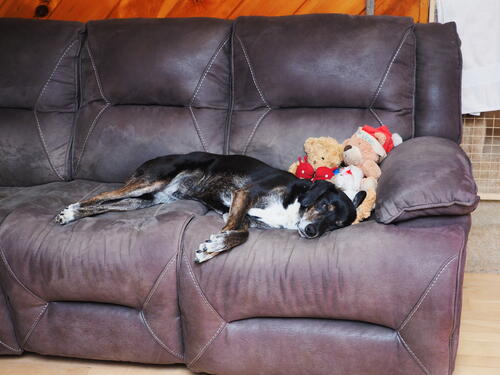 Sophie and her toys #2