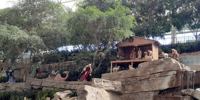 Nativity setup at Saint Elizabeth's hospital