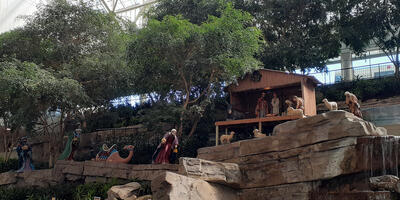 Nativity setup at Saint Elizabeth's hospital #2