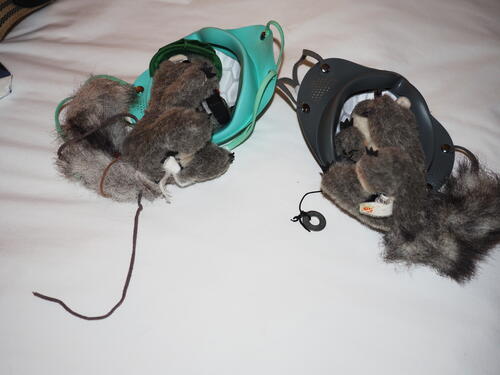 Nutzo and Livenea don masks