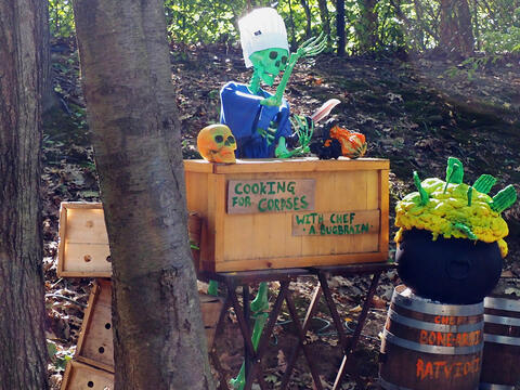 Skeletons at Roger Williams Zoo