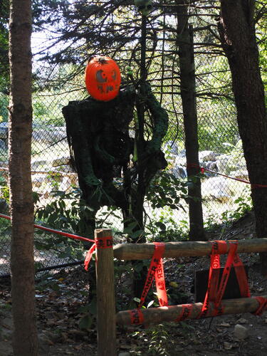Pumpkins at Roger Williams Zoo #4