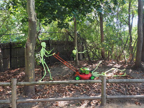 Skeletons at Roger Williams Zoo #4