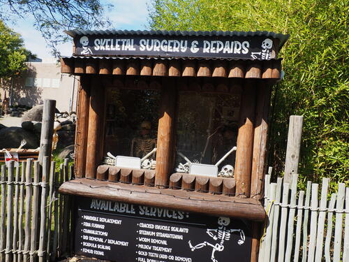 Skeletons at Roger Williams Zoo #6