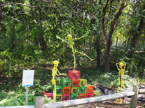 Skeletons at Roger Williams Zoo #9
