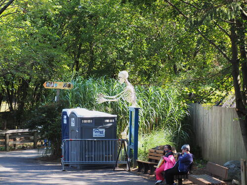 Skeletons at Roger Williams Zoo #10