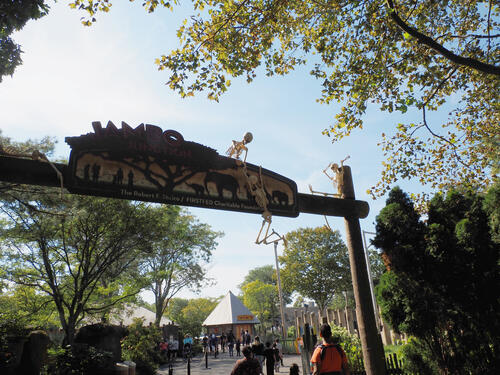 Skeletons at Roger Williams Zoo #11