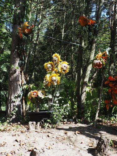 Skeletons at Roger Williams Zoo #12
