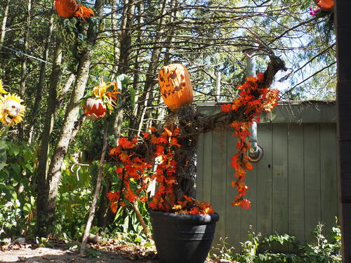 Skeletons at Roger Williams Zoo #13