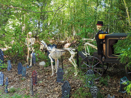 Skeletons at Roger Williams Zoo #14