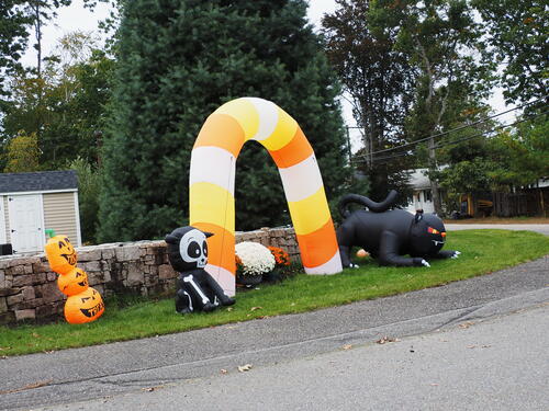 Halloween decorations #5