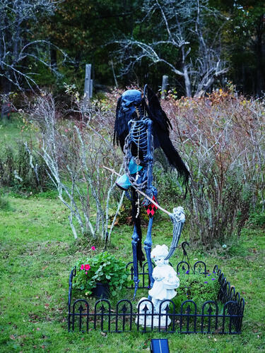 Halloween party at Russell Hannula's #3