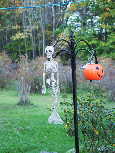 Halloween party at Russell Hannula's #8