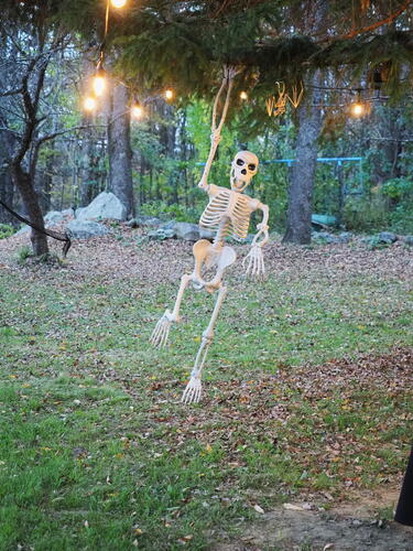 Halloween party at Russell Hannula's #9