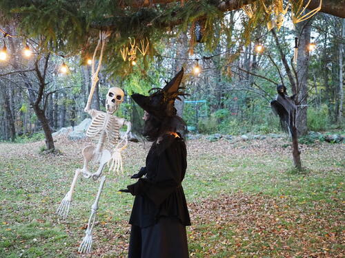 Liz as the spider woman #2