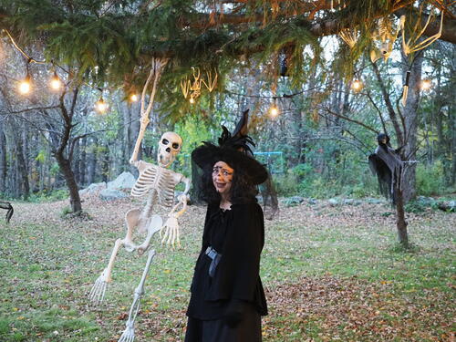 Liz as the spider woman #3