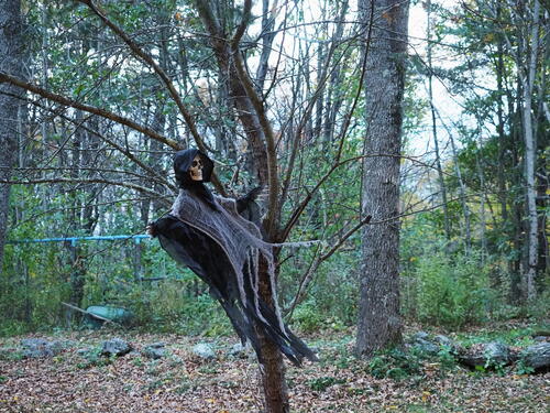 Halloween party at Russell Hannula's #12