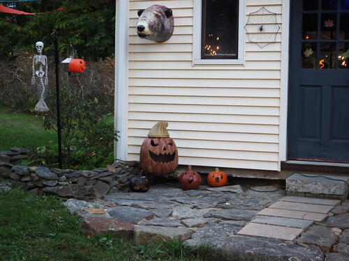 Halloween party at Russell Hannula's #13