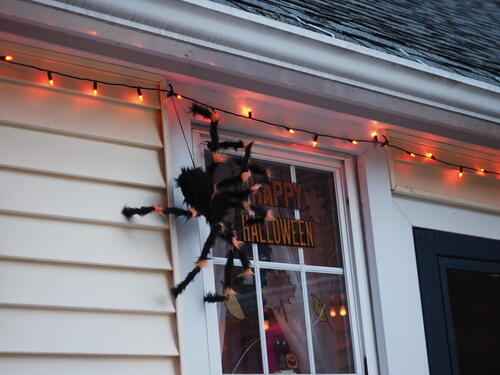 Halloween party at Russell Hannula's #16