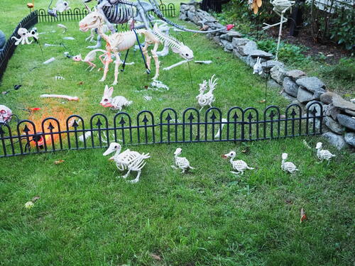 Halloween party at Russell Hannula's #18