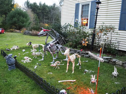 Halloween party at Russell Hannula's #19