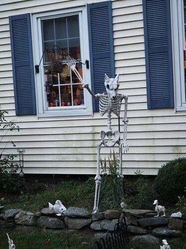 Halloween party at Russell Hannula's #20