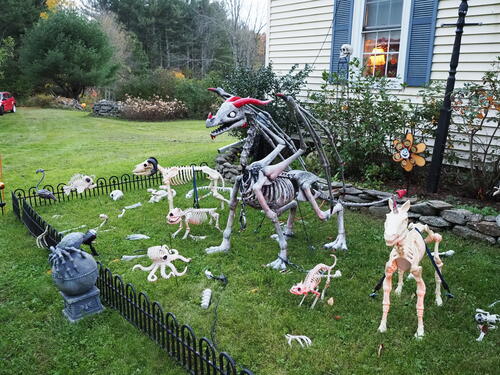 Halloween party at Russell Hannula's #22