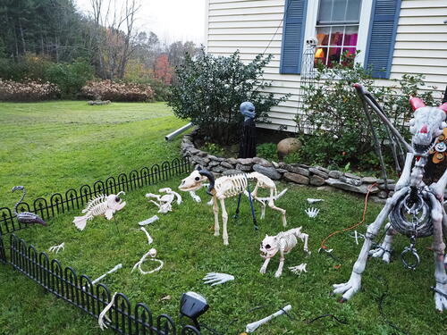 Halloween party at Russell Hannula's #23