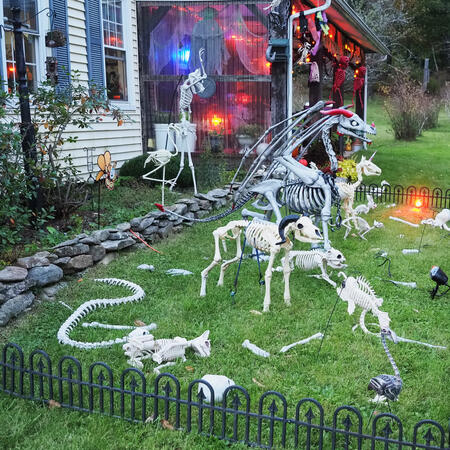 Halloween party at Russell Hannula's #25