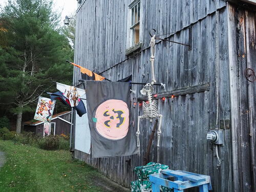 Halloween party at Russell Hannula's #26