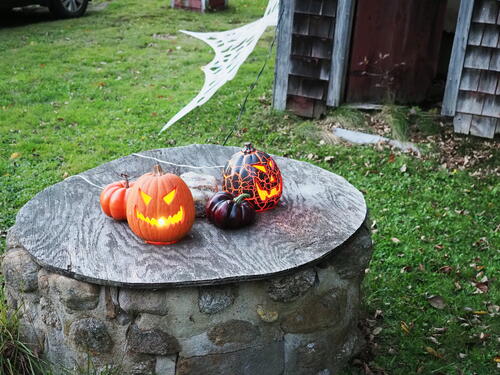 Halloween party at Russell Hannula's #27