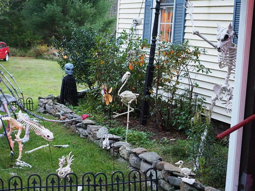 Halloween party at Russell Hannula's #35