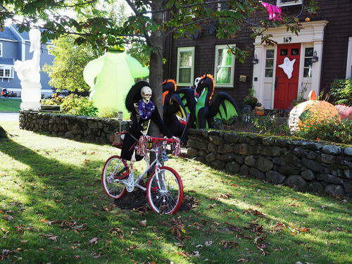 Bicycling skeleton with dragons