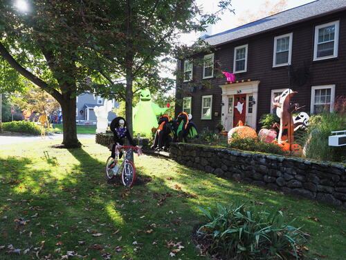 Bicycling skeleton with dragons #2